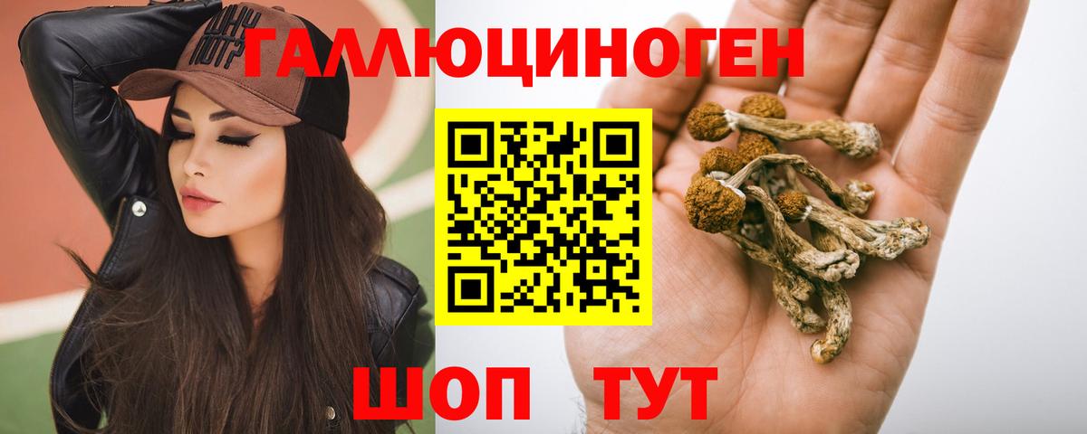 Псилоцибиновые грибы MAGIC MUSHROOMS  Галлюциногенные грибы ЛСД  Апатиты  Вход с VPN 